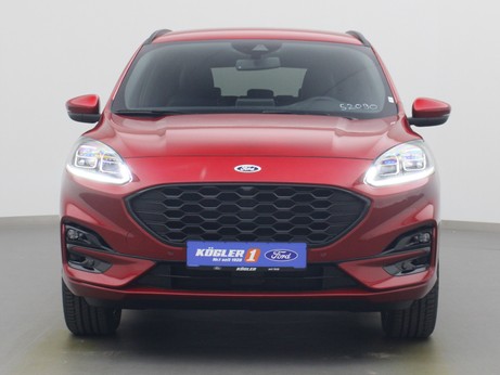 Frontansicht eines Ford Kuga ST-Line X 225PS Plug-in-Hybrid Aut. in Lucid Rot 