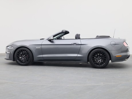  Ford Mustang GT Cabrio V8 450PS / Premium 2 / Magne in Carbonized Gray von Links